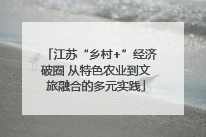 江苏“乡村+”经济破圈 从特色农业到文旅融合的多元实践