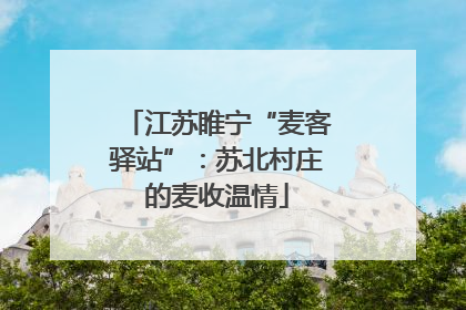 江苏睢宁“麦客驿站”：苏北村庄的麦收温情