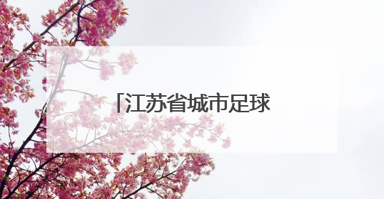 江苏省城市足球联赛丨南京胜常州 登顶榜首
