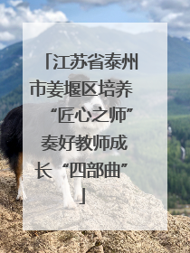 江苏省泰州市姜堰区培养“匠心之师” 奏好教师成长“四部曲”