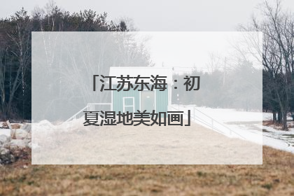 江苏东海：初夏湿地美如画