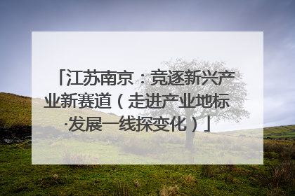 江苏南京：竞逐新兴产业新赛道（走进产业地标·发展一线探变化）
