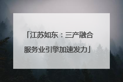 江苏如东：三产融合 服务业引擎加速发力