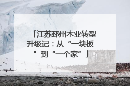 江苏邳州木业转型升级记：从“一块板”到“一个家”