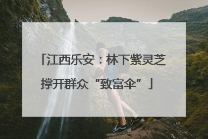 江西乐安：林下紫灵芝撑开群众“致富伞”