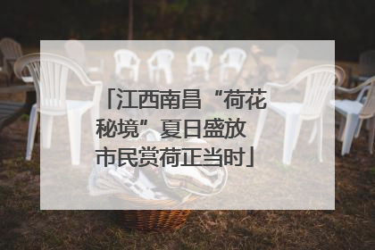 江西南昌“荷花秘境”夏日盛放 市民赏荷正当时