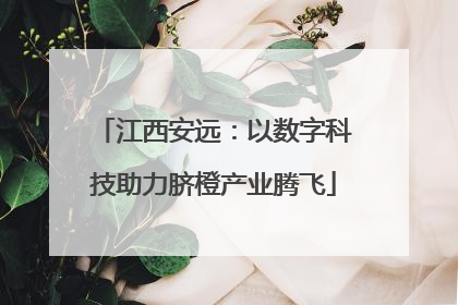 江西安远：以数字科技助力脐橙产业腾飞