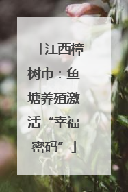 江西樟树市：鱼塘养殖激活“幸福密码”