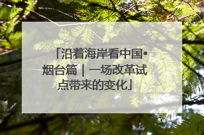 沿着海岸看中国•烟台篇｜一场改革试点带来的变化