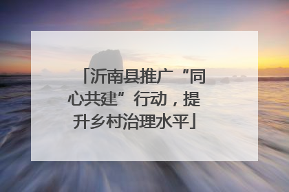 沂南县推广“同心共建”行动，提升乡村治理水平