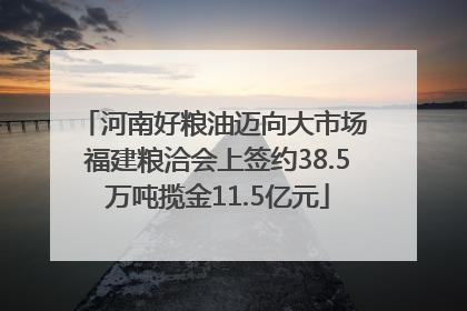河南好粮油迈向大市场 福建粮洽会上签约38.5万吨揽金11.5亿元