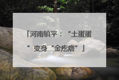 河南镇平：“土蛋蛋”变身“金疙瘩”