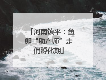 河南镇平：鱼卵“助产师”走俏孵化期
