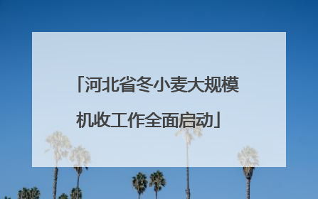 河北省冬小麦大规模机收工作全面启动