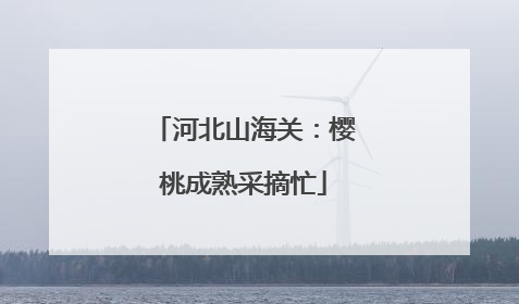 河北山海关：樱桃成熟采摘忙