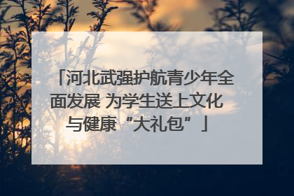 河北武强护航青少年全面发展 为学生送上文化与健康“大礼包”