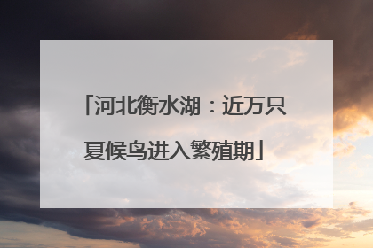 河北衡水湖：近万只夏候鸟进入繁殖期