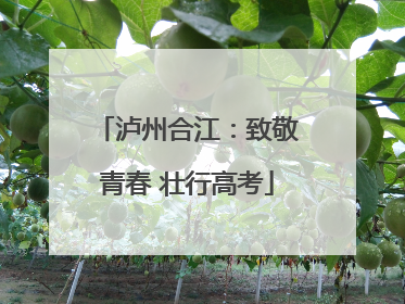 泸州合江：致敬青春 壮行高考