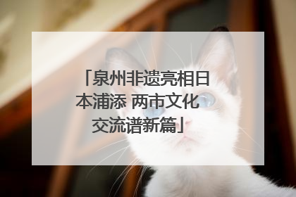 泉州非遗亮相日本浦添 两市文化交流谱新篇