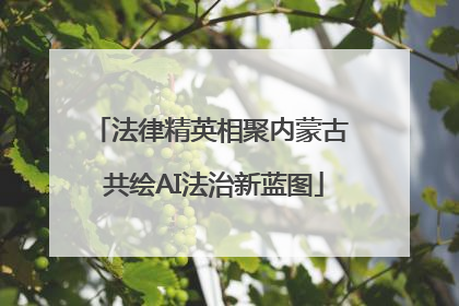 法律精英相聚内蒙古 共绘AI法治新蓝图