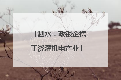 泗水：政银企携手浇灌机电产业