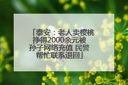 泰安：老人卖樱桃挣得2000余元被孙子网络充值 民警帮忙联系退回