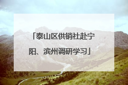 泰山区供销社赴宁阳、滨州调研学习