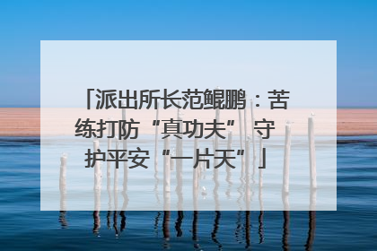 派出所长范鲲鹏：苦练打防“真功夫” 守护平安“一片天”