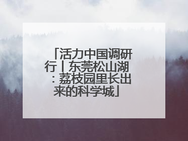 活力中国调研行丨东莞松山湖：荔枝园里长出来的科学城