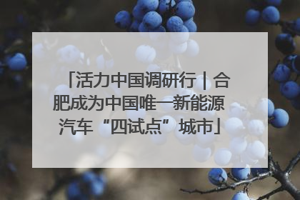 活力中国调研行｜合肥成为中国唯一新能源汽车“四试点”城市