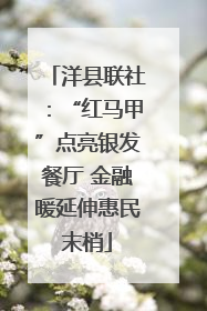 洋县联社：“红马甲”点亮银发餐厅 金融暖延伸惠民末梢
