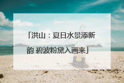 洪山：夏日水景添新韵 碧波粉黛入画来