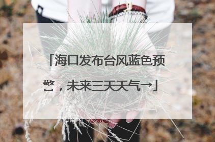 海口发布台风蓝色预警，未来三天天气→