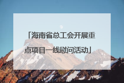 海南省总工会开展重点项目一线慰问活动