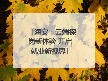 海安：云端探岗新体验 开启就业新视界