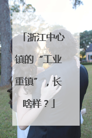 浙江中心镇的“工业重镇”，长啥样？
