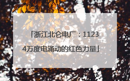 浙江北仑电厂：11234万度电涌动的红色力量