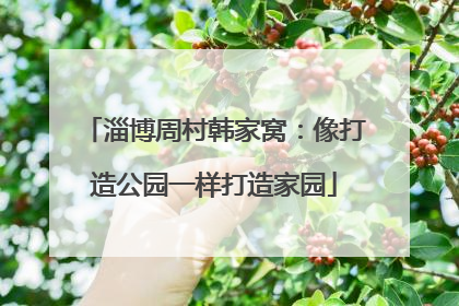 淄博周村韩家窝：像打造公园一样打造家园