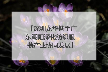 深圳龙华携手广东潮阳深化纺织服装产业协同发展
