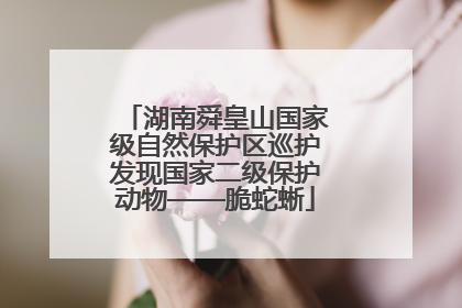 湖南舜皇山国家级自然保护区巡护发现国家二级保护动物——脆蛇蜥