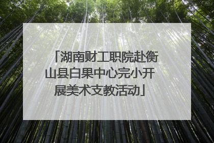 湖南财工职院赴衡山县白果中心完小开展美术支教活动