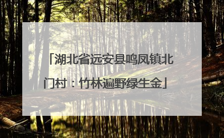 湖北省远安县鸣凤镇北门村：竹林遍野绿生金