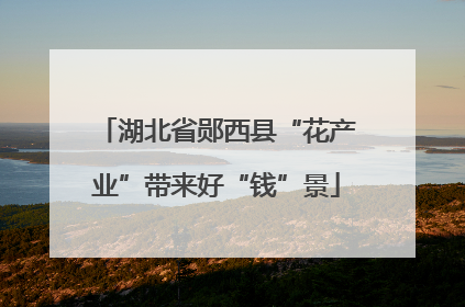 湖北省郧西县“花产业”带来好“钱”景