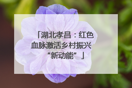 湖北孝昌：红色血脉激活乡村振兴“新动能”