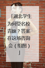 湖北学生为何受名校青睐？答案在这场咨询会（组图）