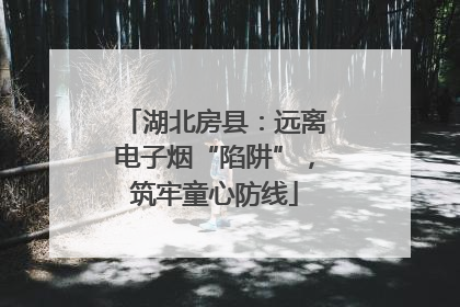湖北房县：远离电子烟“陷阱”，筑牢童心防线
