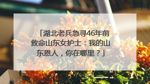 湖北老兵急寻46年前救命山东女护士：我的山东恩人，你在哪里？