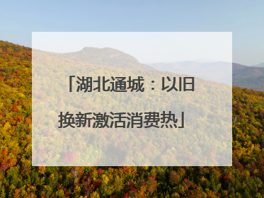 湖北通城：以旧换新激活消费热