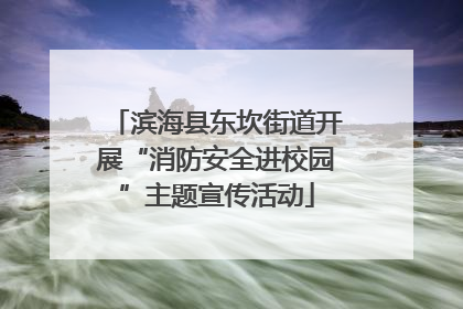 滨海县东坎街道开展“消防安全进校园”主题宣传活动