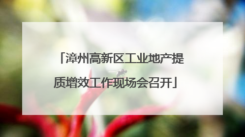 漳州高新区工业地产提质增效工作现场会召开